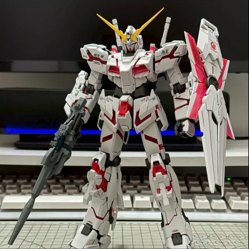Gundam Model Mg - Assembled Model HG Unicorn 1/144 Jim