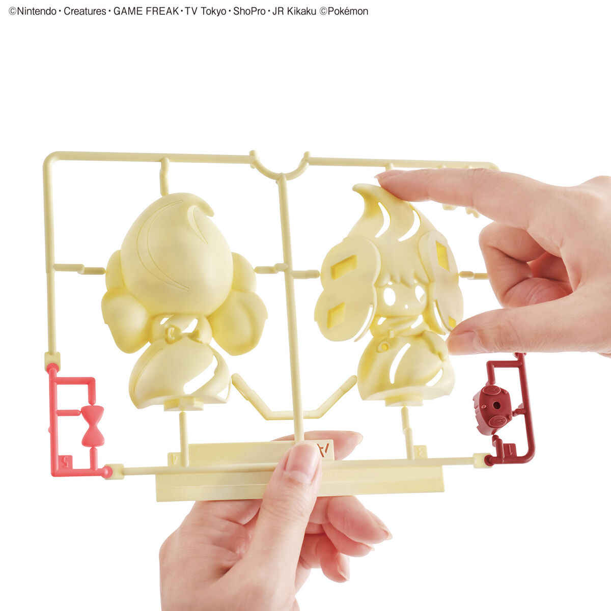 Genuine Bandai Pokemon Figures - đánh giá và giá Model Kit Quick