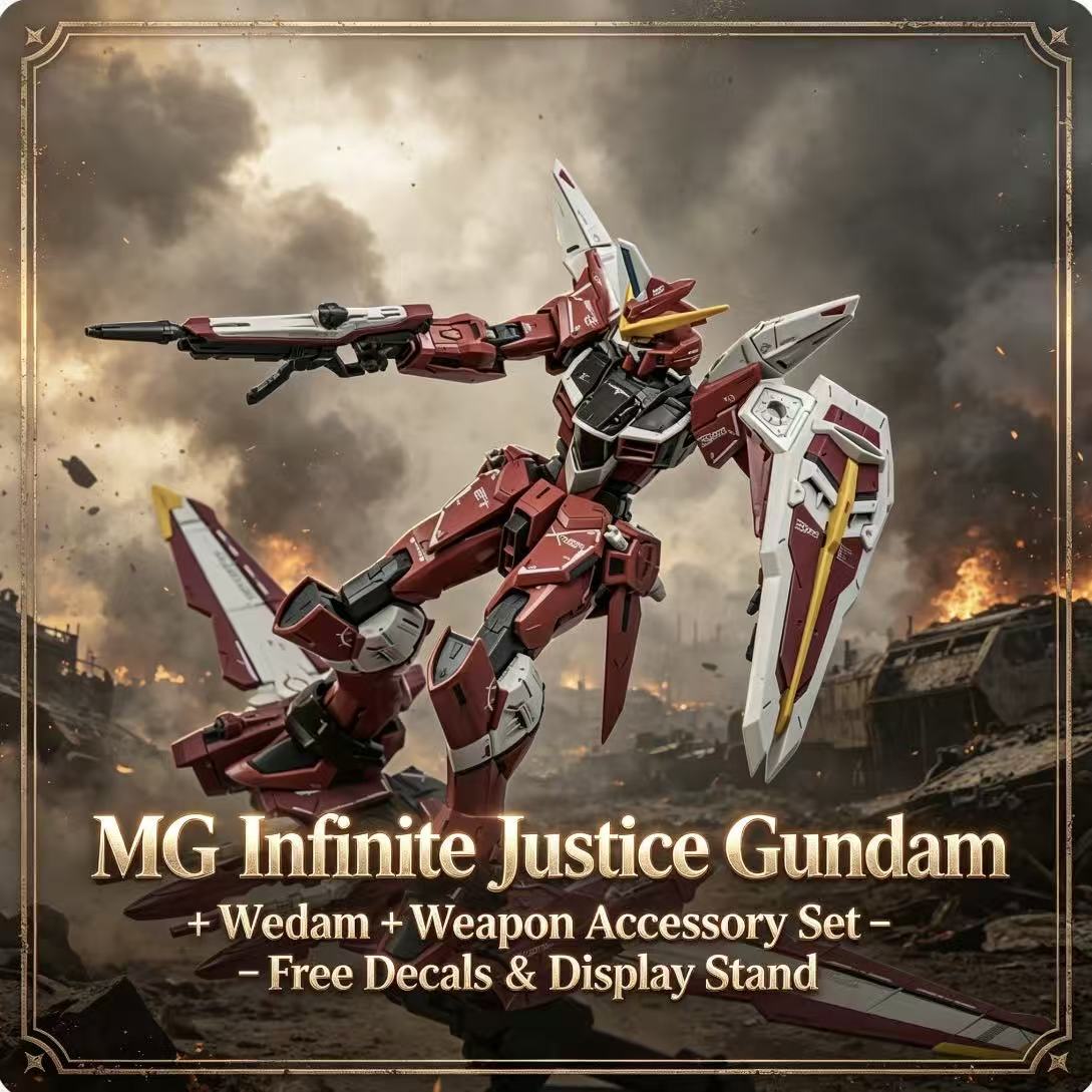 X09A MG CHENGSHUN MG 1/100 Zgm - đánh giá và giá Gundam Model Mg
