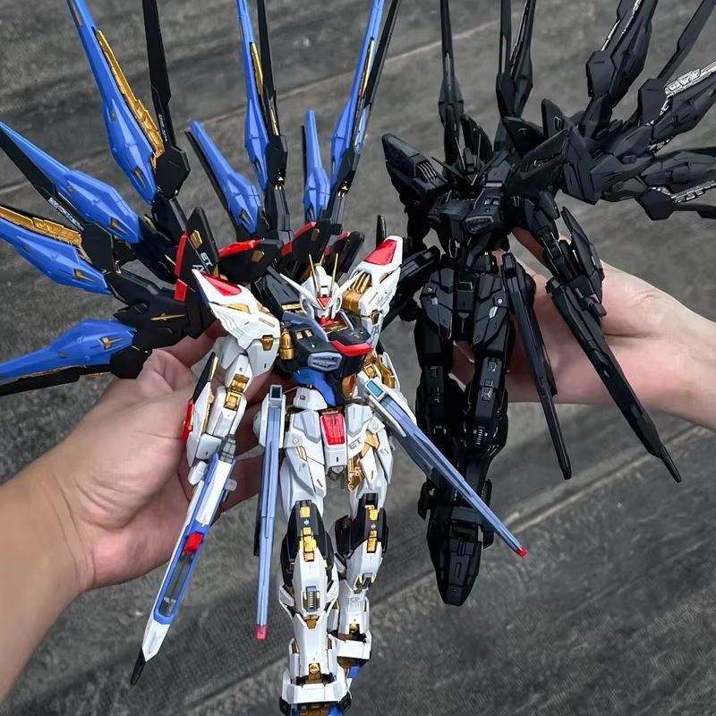CHANGLONG Model 7701 MGEX ZGMF - đánh giá và giá Gundam Model Mg
